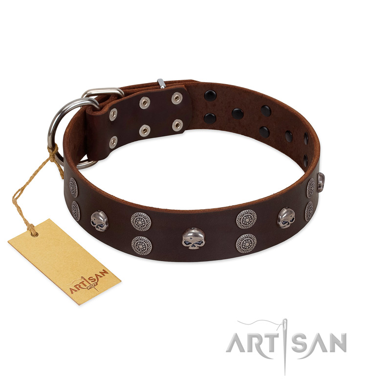 "Skull Valley" Handcrafted FDT Artisan Brown Leather English Pointer Collar with Skulls