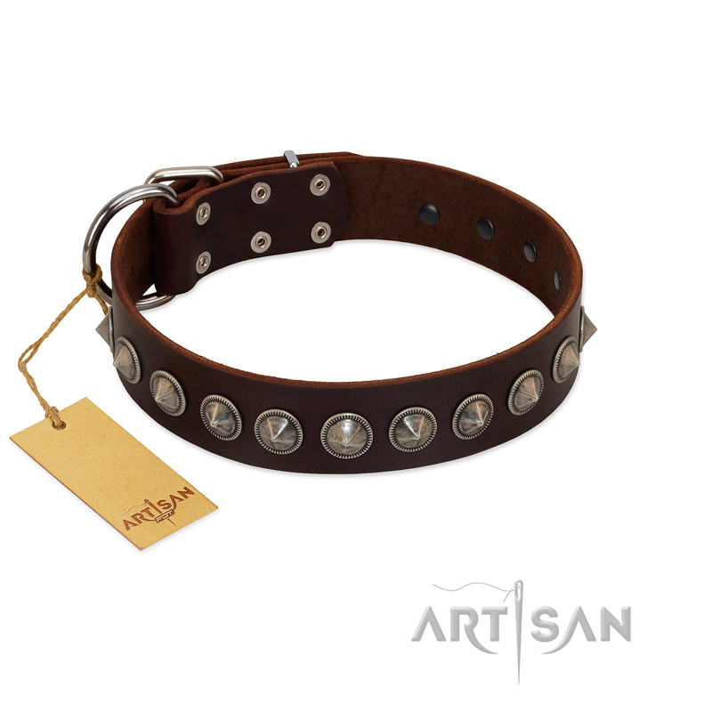"Gothic Style" FDT Artisan Fancy Brown Leather English Pointer Collar with Silver-Like Decorations