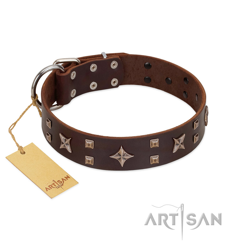 "Stars in Sands" Modern FDT Artisan Brown Leather English Pointer Collar with Studs and Stars