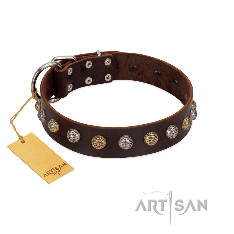 "Gape Buster" FDT Artisan Brown Leather English Pointer Collar with One Row of Studs
