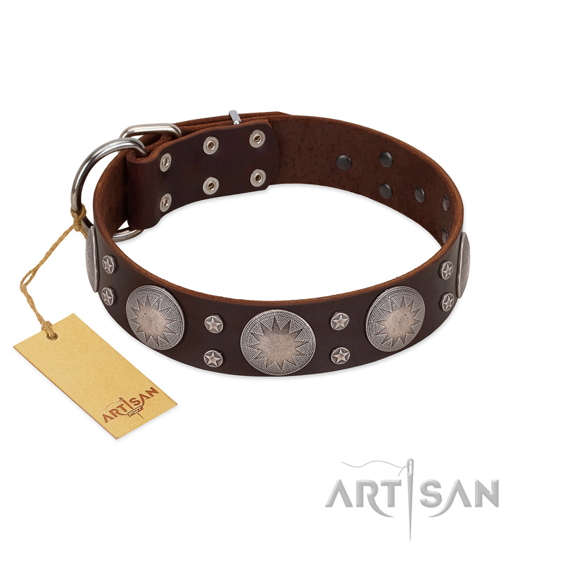 "Imperial Legate" FDT Artisan Brown Leather English Pointer Collar with Big Round Plates