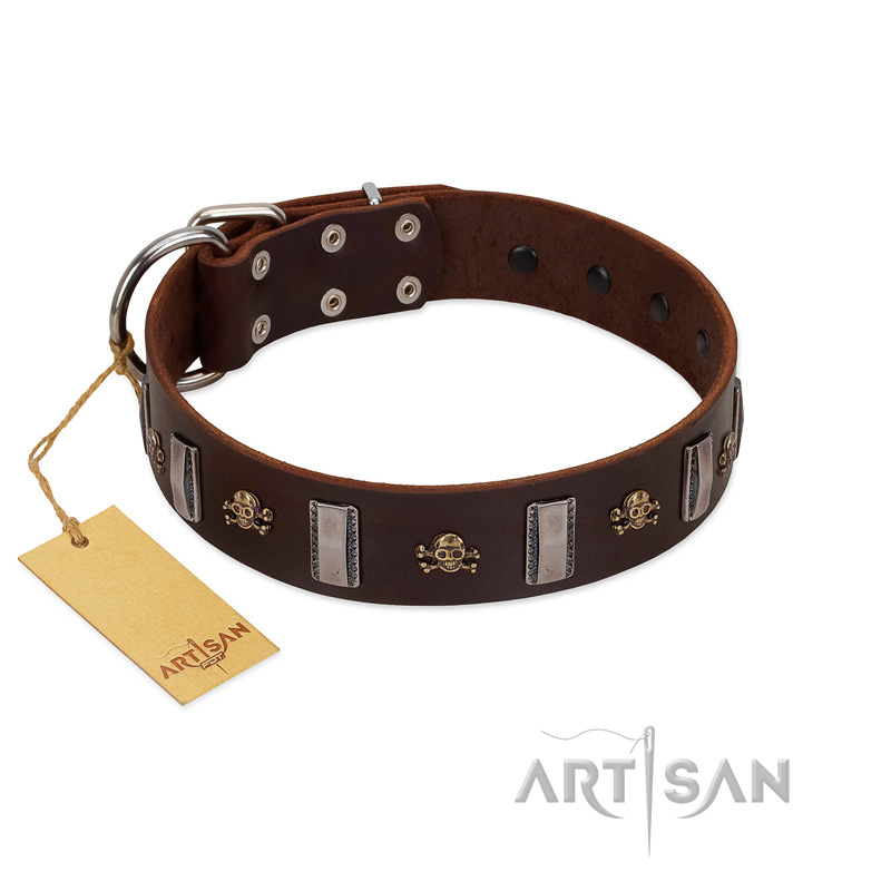 "War Chief" FDT Artisan Genuine Brown Leather English Pointer Collar with Skulls and Plates