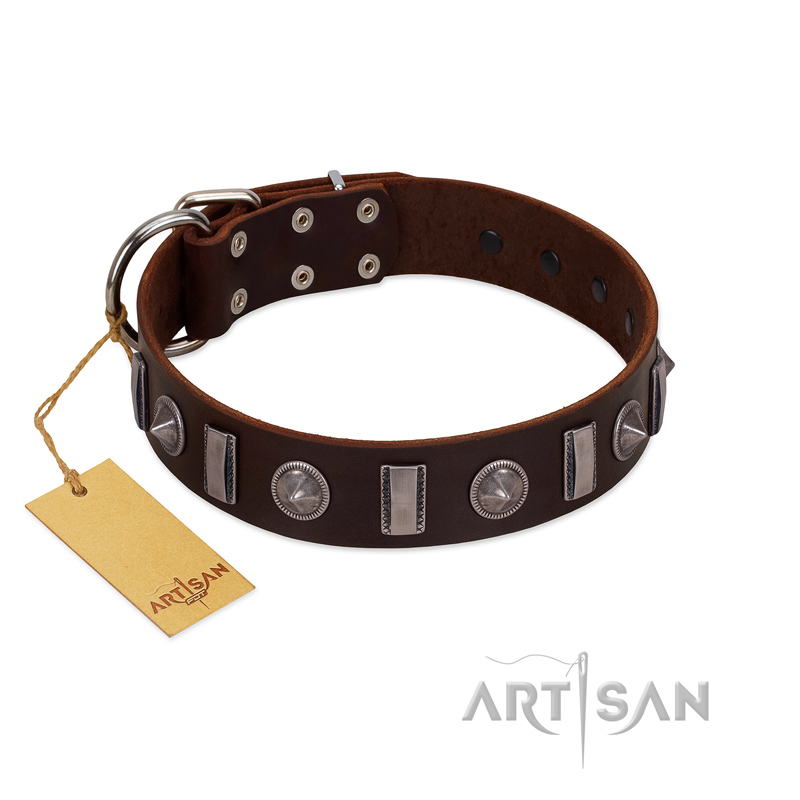 "Spiky Way" FDT Artisan Brown Leather English Pointer Collar with Silver-Like Decorations