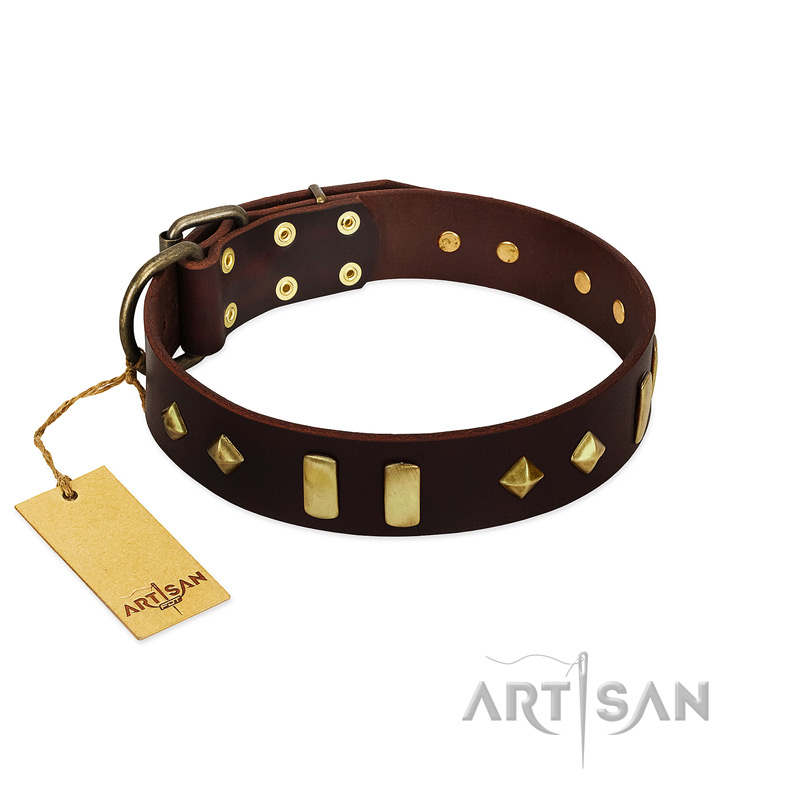 "Blinking Illusion" FDT Artisan Brown Leather English Pointer Collar with Old Bronze-like Studs and Plates - Click Image to Close