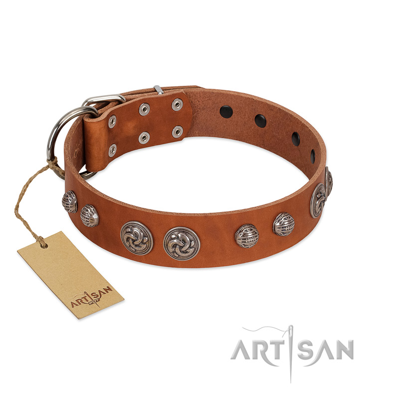 "Era Infinitum" FDT Artisan Tan Leather English Pointer Collar Adorned with Chrome-plated Circles