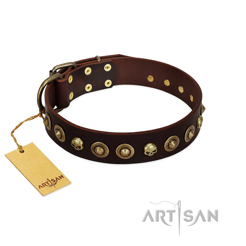 "Street Fashion" FDT Artisan Brown Leather English Pointer Collar Adorned with Circles and Skulls
