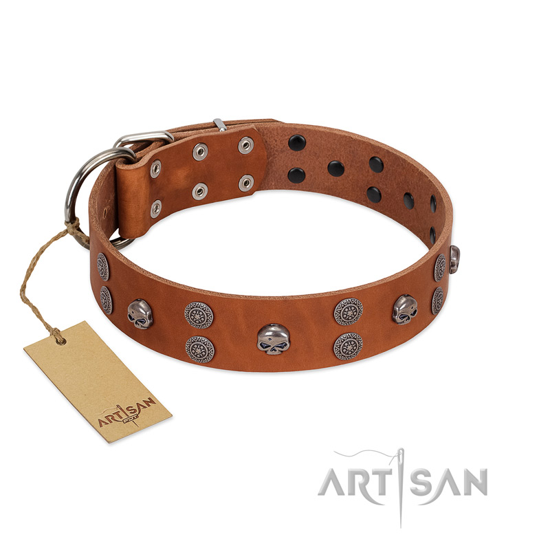 "Road Rider" FDT Artisan Tan Leather English Pointer Collar with Old Silver-like Skulls and Medallions