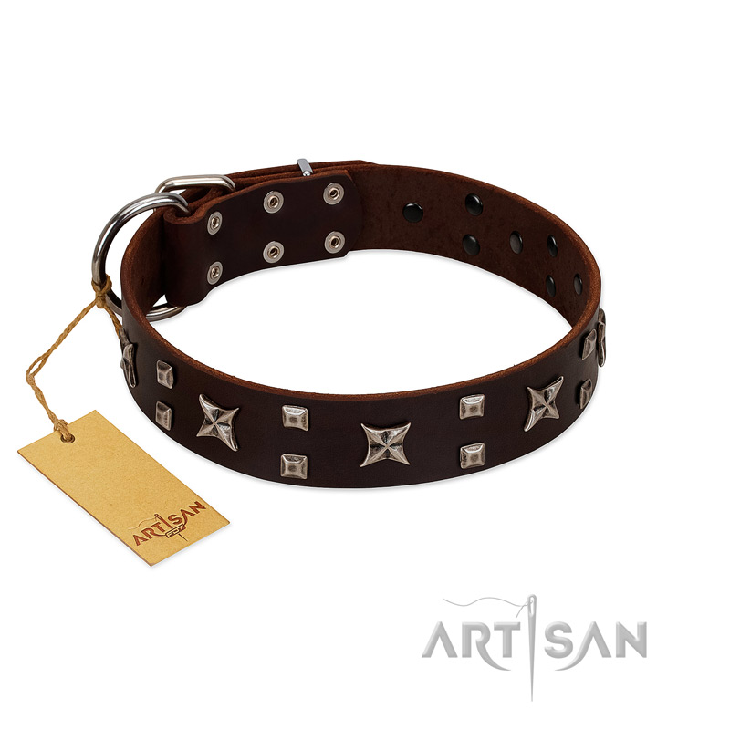 "Bigwig Woof" FDT Artisan Brown Leather English Pointer Collar with Chrome Plated Stars and Square Studs