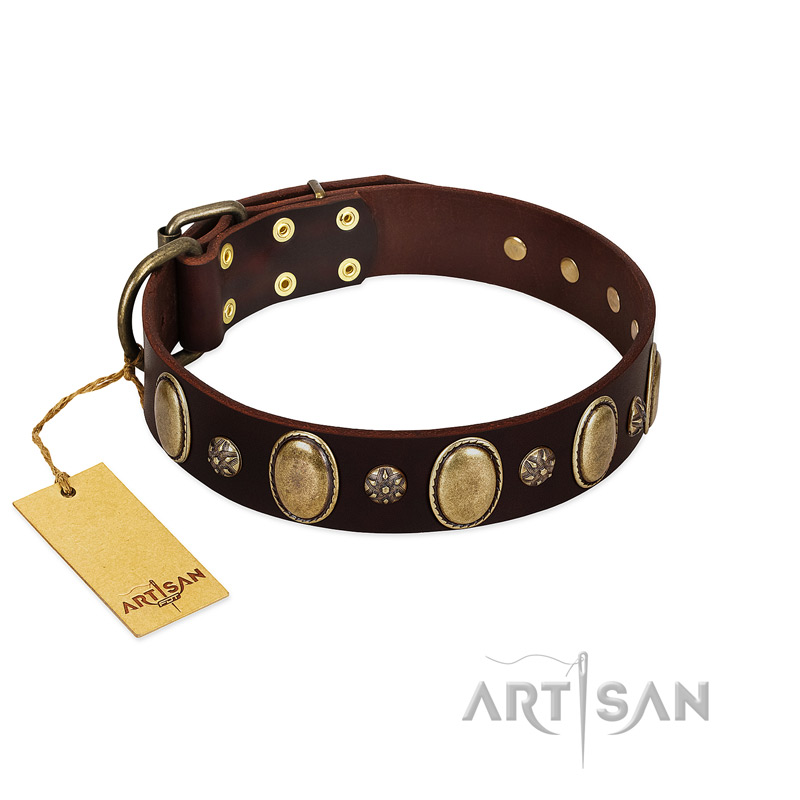 "Bronze Idol" FDT Artisan Brown Leather English Pointer Collar with Eye-catching Ovals and Small Studs