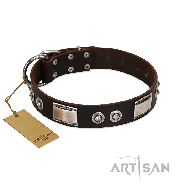 "Baller Status" FDT Artisan Brown Leather English Pointer Collar Adorned with a Set of Chrome Plated Studs and Plates