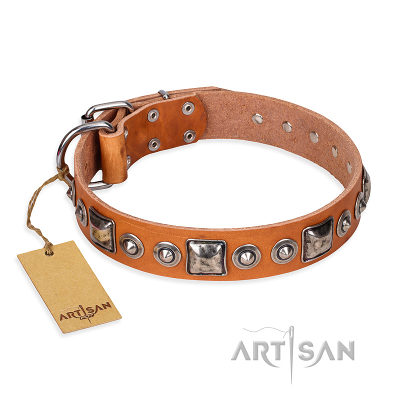 "Era of Future" FDT Artisan Handcrafted Tan Leather English Pointer Collar with Decorations