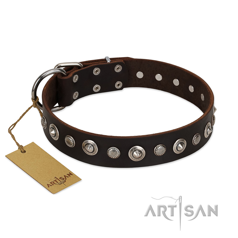 "Gorgeous Shields" FDT Artisan Brown Leather English Pointer Collar with Old Silver-like Circles and Small Camomiles