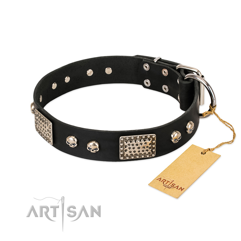 "Pirates Gold" FDT Artisan Black Leather English Pointer Collar with Old Silver Look Plates and Skulls