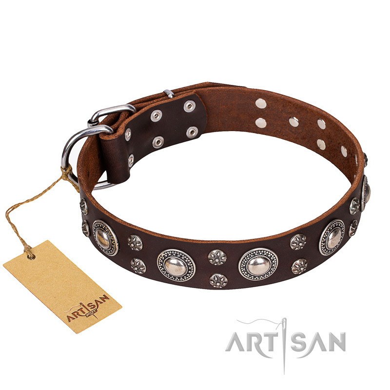 "Age of Beauty" FDT Artisan Incredible Studded Brown Leather English Pointer Collar