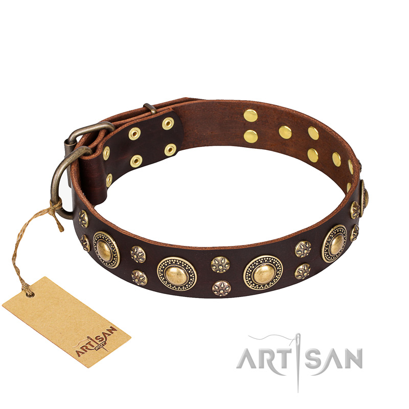 "Flower Melody" FDT Artisan Brown Leather English Pointer Collar with Mixed Studs