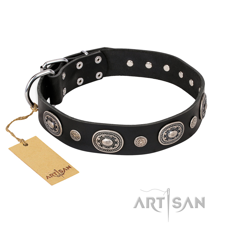 "Black Tie" FDT Artisan Leather English Pointer Collar with Old Silver-like Decorations