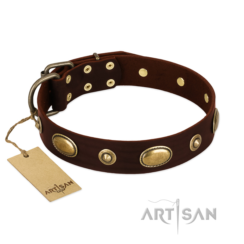 "Hebe's Jewel" FDT Artisan Brown Genuine Leather English Pointer Collar