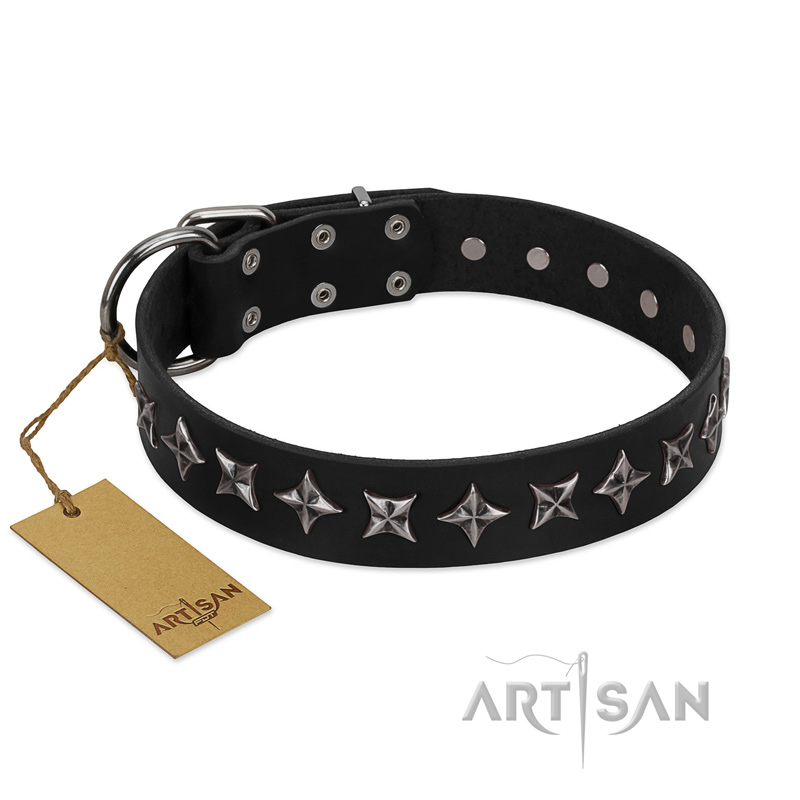"Lights-out" FDT Artisan Black Leather English Pointer Collar with Silver-like Set of Stars