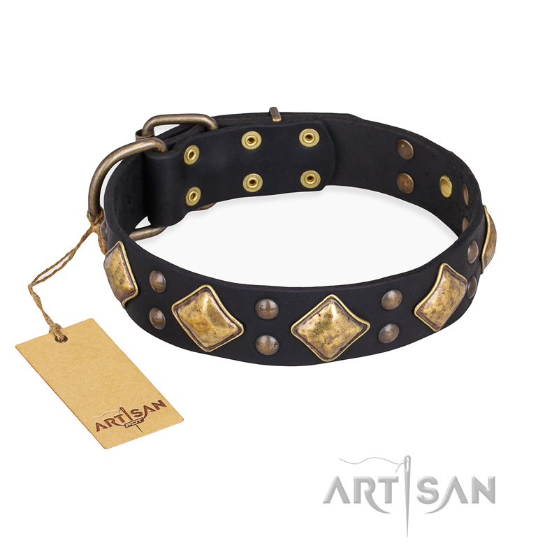 "Fancy-Schmancy" FDT Artisan Studded Leather English Pointer Collar