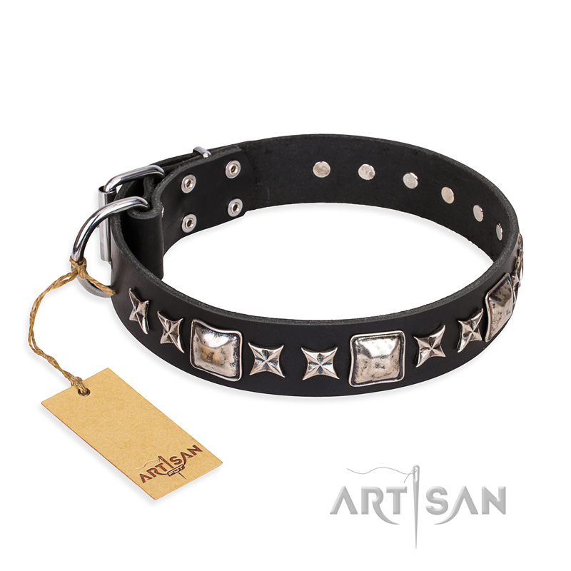 "Space Walk" FDT Artisan Black Leather English Pointer Collar with Adornments