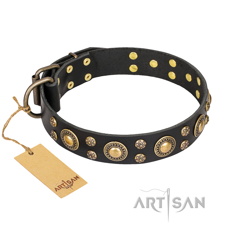 "Baroque Chic" FDT Artisan Studded Black Leather English Pointer Collar