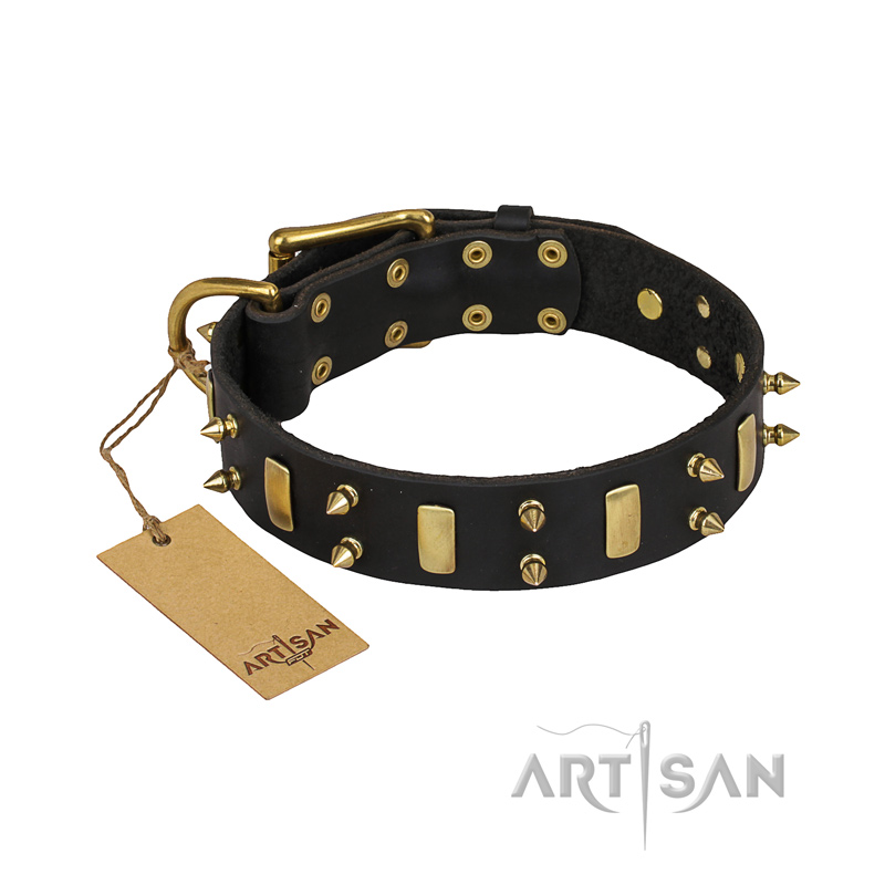 "Medieval Style" FDT Artisan Leather English Pointer Collar with Brass Plated Plates and Spikes