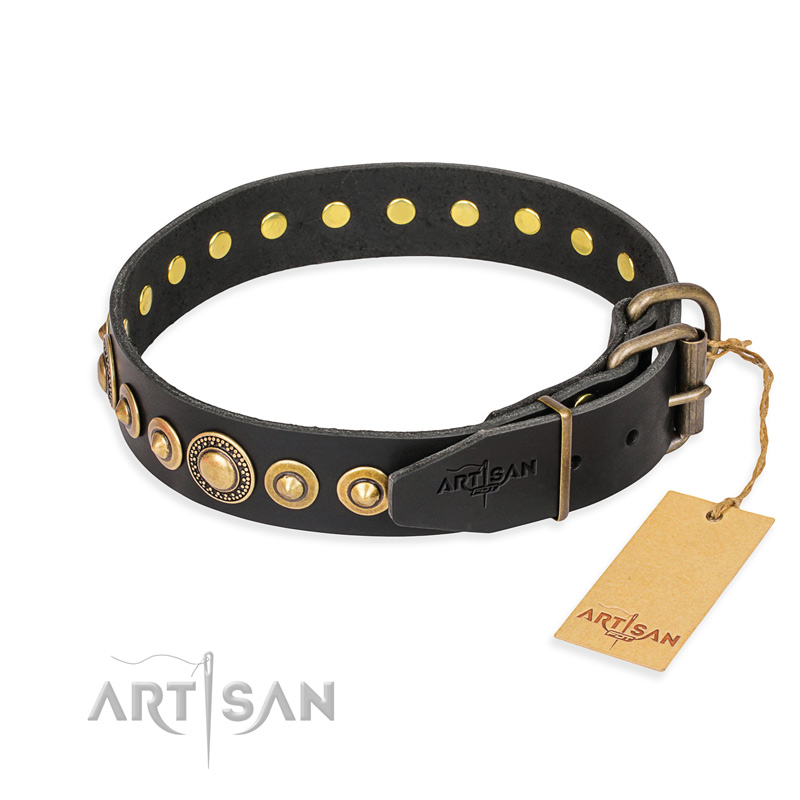 "Gold Mine" FDT Artisan Black Leather English Pointer Collar with Amazing Bronze-Plated Round Studs