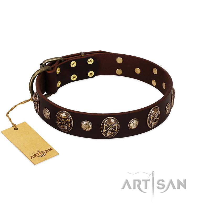 "Snazzy Paws" FDT Artisan Brown Leather English Pointer Collar Adorned with Conchos and Medallions