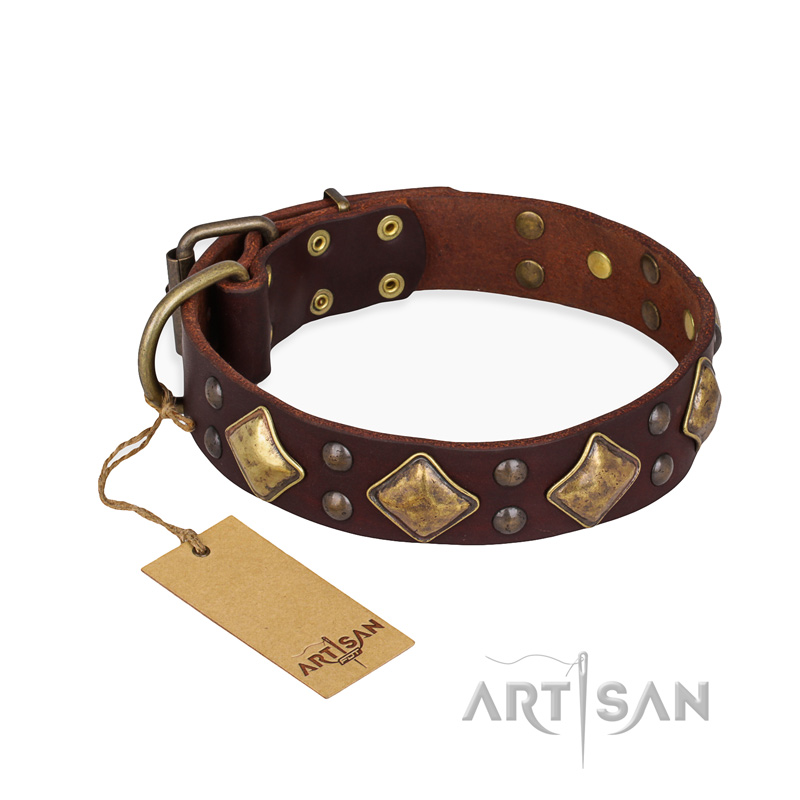 "Golden Square" FDT Artisan Brown Leather English Pointer Collar with Large Squares