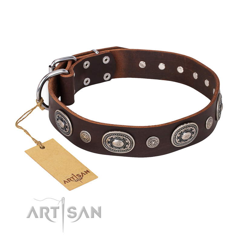 "Extra Pizzazz" FDT Artisan Adorned Brown Leather English Pointer Collar