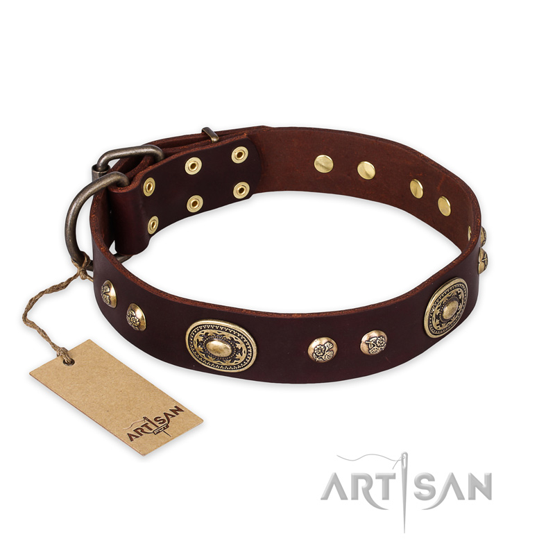 "Breath of Elegance" FDT Artisan Decorated with Plates Brown Leather English Pointer Collar