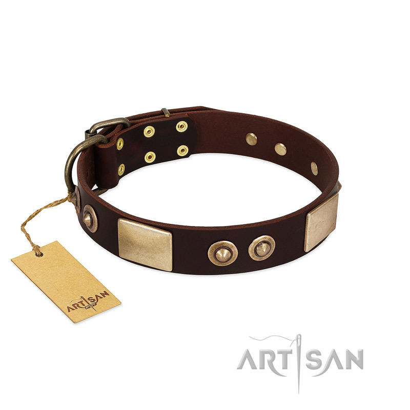 "Sense of Freedom" FDT Artisan Brown Leather English Pointer Collar with Old Bronze-Plated Studs and Plates