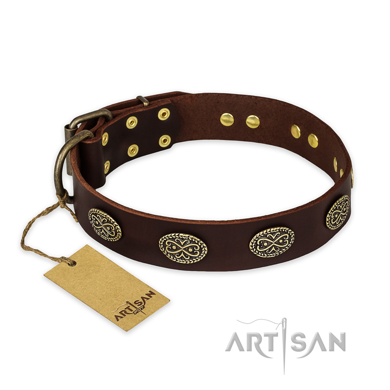 "Chocolate kiss" FDT Artisan Leather English Pointer Collar with Old Bronze Look Oval Plates