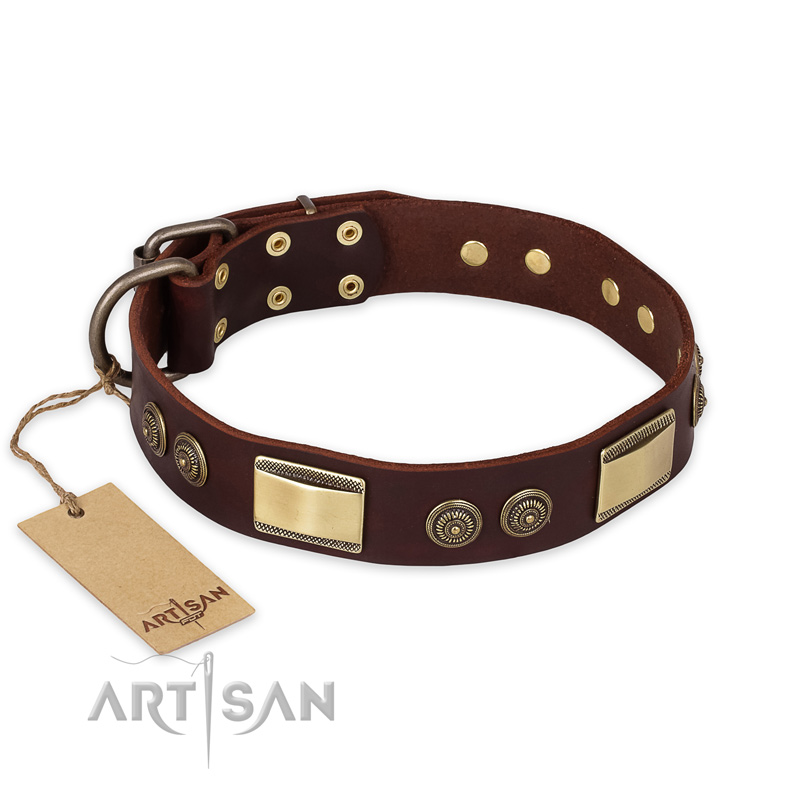 "Golden Stones" FDT Artisan Brown Leather English Pointer Collar with Old Bronze Look Plates and Circles