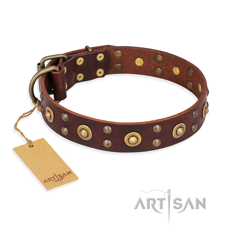 "Caprice of Fashion" FDT Artisan Brown Leather English Pointer Collar with Round Decorations