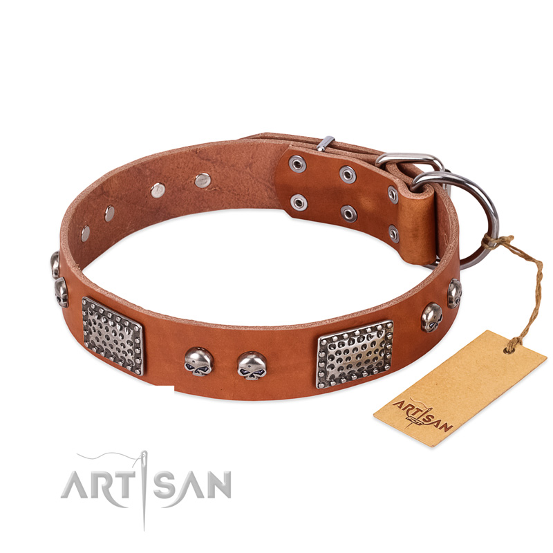 "Sparkling Skull" FDT Artisan Tan Leather English Pointer Collar with Old Silver Look Plates and Skulls