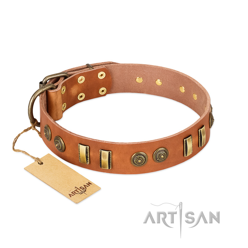 "Natural Beauty" FDT Artisan Tan Leather English Pointer Collar with Old Bronze-like Circles and Plates