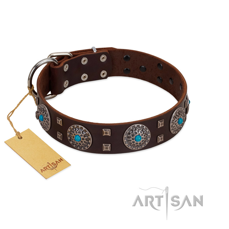 "Hypnotic Stones" FDT Artisan Brown Leather English Pointer Collar with Chrome Plated Brooches and Square Studs