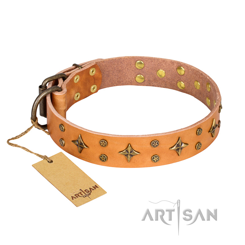 "Top-Flight" FDT Artisan Adorned Tan Leather English Pointer Collar