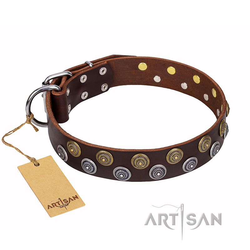 "Strong Shields" FDT Artisan leather English Pointer collar with stylish decorations