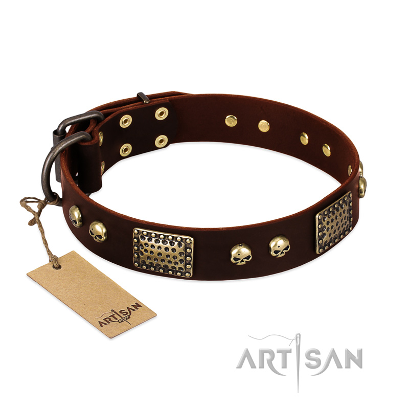 "Magic Amulet" Brown Leather English Pointer Collar with Skulls and Plates