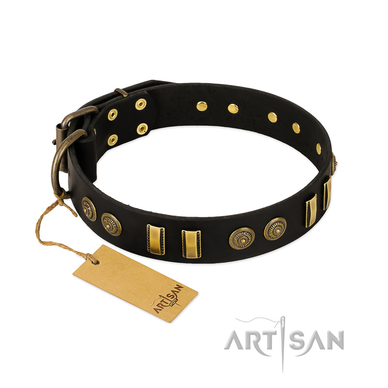 "Simple Elegance" FDT Artisan Black Leather English Pointer Collar with Old Bronze-like Plates and Circles