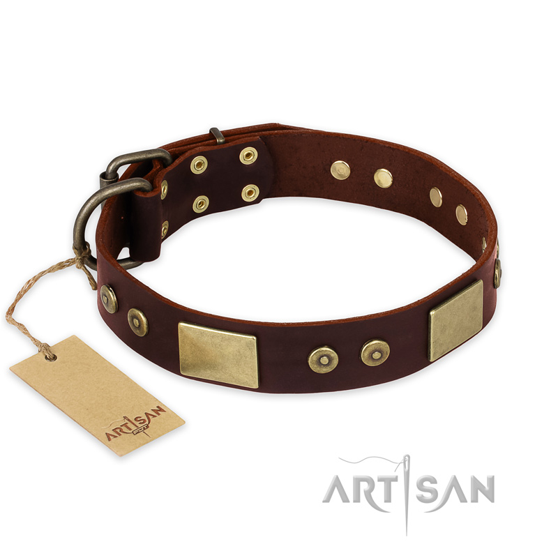 "Shining Armour" FDT Artisan Brown Leather English Pointer Collar with Decorations
