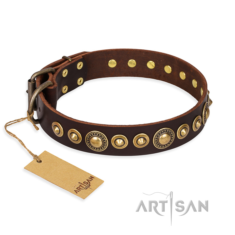"Ancient Warrior" FDT Artisan Fancy Leather English Pointer Collar with Old-Bronze Plated Decorations