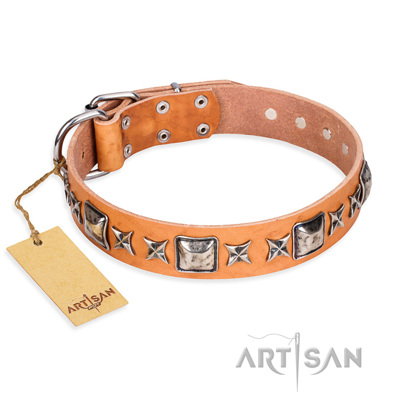 "Glamour Finery" FDT Artisan Female English Pointer collar of natural leather with stylish old-looking circles