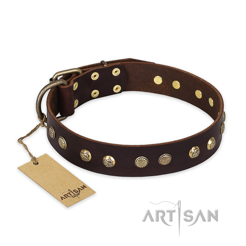 "Bronze Sheen" FDT Artisan Leather English Pointer Collar with Brass-Plated Studs - Click Image to Close