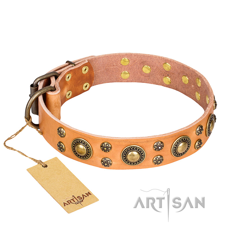 "Sophisticated Glamor" FDT Artisan Leather English Pointer Collar with Fancy Old Bronze-like Plated Decorations