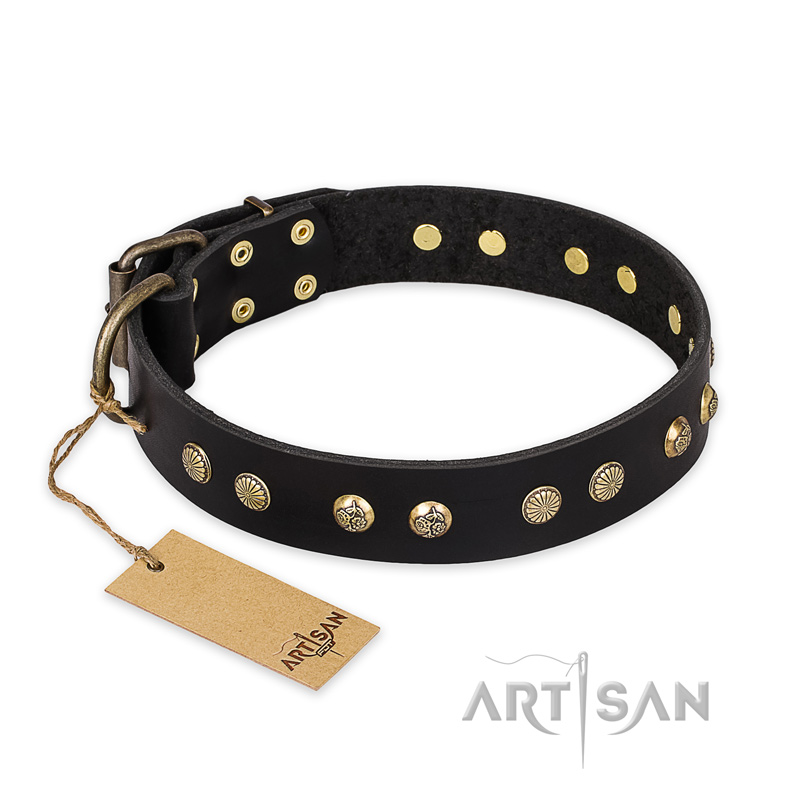 "Black Elegance" FDT Artisan Leather English Pointer Collar with Round Studs