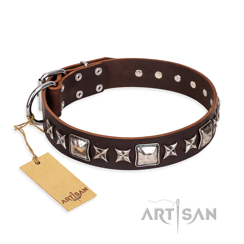 "Perfect Impression" FDT Artisan Brown Leather English Pointer Collar with Silvery Square Studs