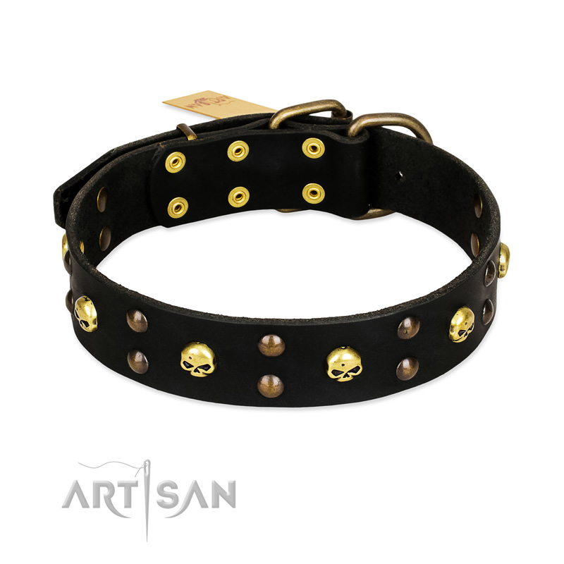 "Heavy Metal" Leather English Pointer Collar with Skulls and Studs 1 1/2 inch (40 mm)